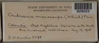 Image Associated With the Occurence